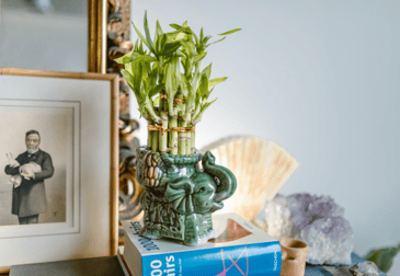 Consejos para el feng shui y el secreto feliz en casa