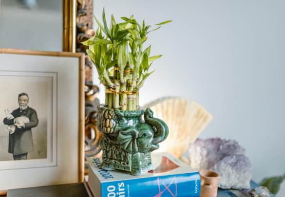 Consejos para el feng shui y el secreto feliz en casa